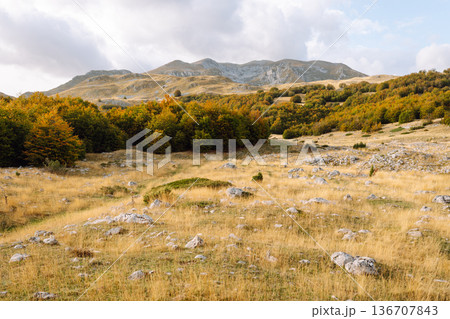 Scenic landscape of rocky terrain and autumn foliage in serene countryside setting during weather 136707843