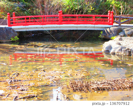須藤公園（東京都文京区千駄木）の風景 136707912