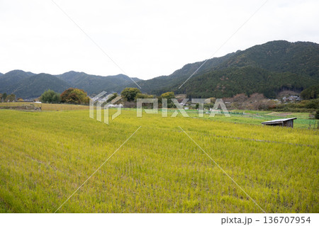 田舎の風景 136707954