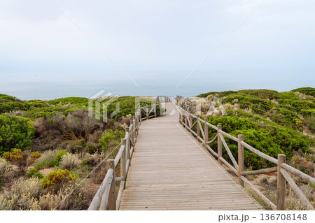 A wooden walkway winds through lush coastal vegetation, directing attention towards the calm sea A wooden walkway winds through lush coastal vegetation, directing attention towards the calm sea 136708148
