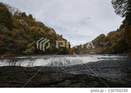 紅葉の吹割の滝と渓流 136708298