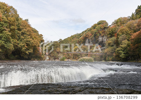 秋の吹割の滝と吊り橋(群馬県沼田市) 秋の吹割の滝と吊り橋(群馬県沼田市) 136708299