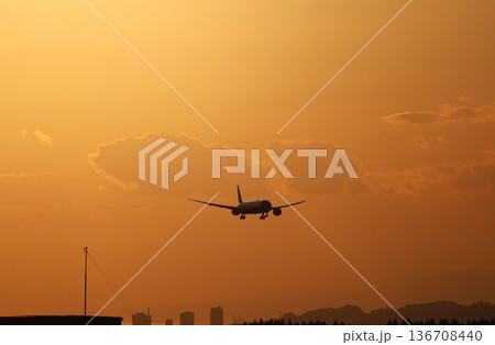 夕日を背にして着陸する飛行機 136708440