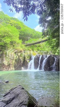 新緑に包まれた滝 136708447