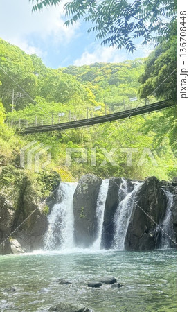 新緑に包まれた初夏の滝 136708448