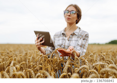 Woman farmer with digital tablet in agricultural field. Smart farm 136708841
