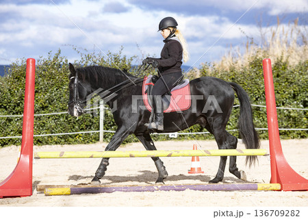 riding girl and horse riding girl and horse 136709282