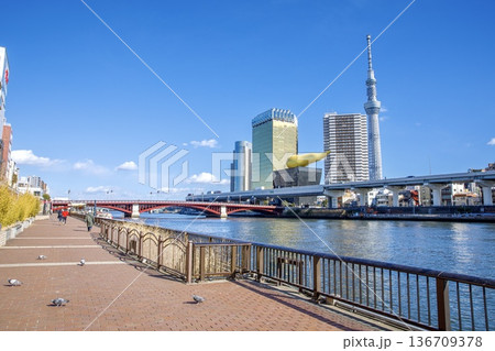 東京都、隅田川テラスの遊歩道 136709378