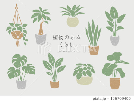 植物のあるくらし_1 植物のあるくらし_1 136709400