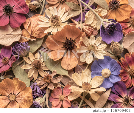Colorful dried exotic flowers background 136709402