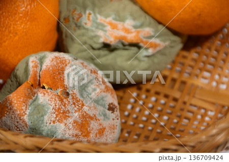 腐ったミカン 136709424