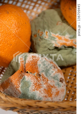 腐ったみかん 136709445