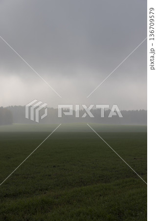 autumn sky covered with thick clouds and thick fog that slowly dissipates from sunlight, dreary gray sky and thick fog that obscures the view 136709579