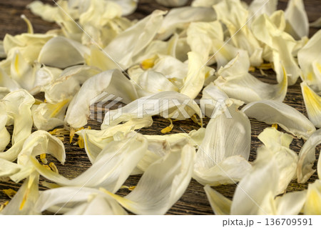 ugly flowers and petals are scattered on an old black wooden table, flower details from a gift bouquet that have wilted and crumbled from long-term storage ugly flowers and petals are scattered on an old black wooden table, flower details from a gift bouquet that have wilted and crumbled from long-term storage 136709591