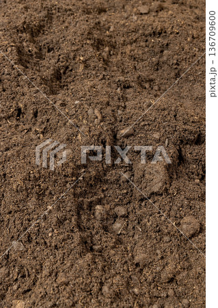 fertile soil with various ingredients for growing seedlings and indoor plants, minerals and vitamins, humus and peat are added to the soil to improve growth and yield 136709600