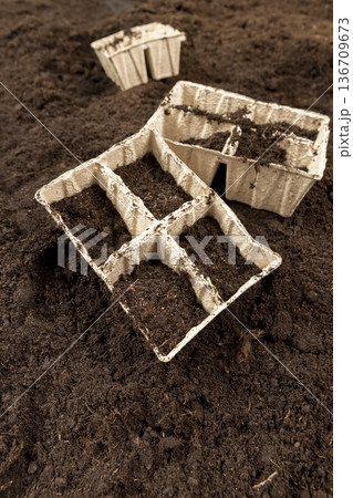 sorrel seeds in hand and cardboard pots filled with soil for seedlings with fertile brown soil, sorrel seeds and paper disposable cups for seedlings with soil sorrel seeds in hand and cardboard pots filled with soil for seedlings with fertile brown soil, sorrel seeds and paper disposable cups for seedlings with soil 136709673