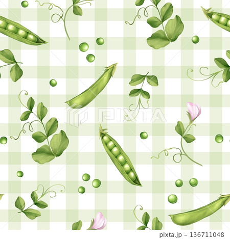 Hand drawn illustration of seamless pattern with green pea pods, seeds and fresh leaves on light green gingham check background Hand drawn illustration of seamless pattern with green pea pods, seeds and fresh leaves on light green gingham check background 136711048
