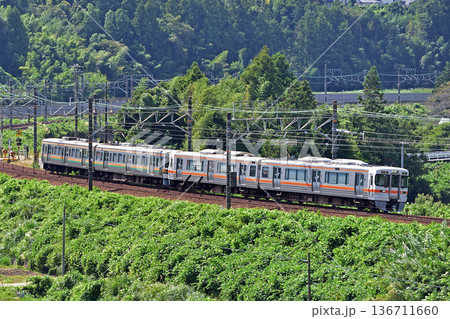 東海道本線 菊川-金谷 JR東海 313系 W5編成(静岡) 東海道本線 菊川-金谷 JR東海 313系 W5編成(静岡) 136711660