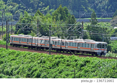 東海道本線　菊川－金谷　JR東海　313系　T13編成（静岡） 136711661