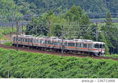 東海道本線　菊川－金谷　JR東海　313系　N7編成（静岡） 136711666