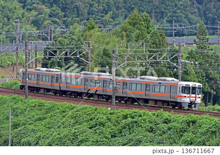 東海道本線 菊川-金谷 JR東海 313系 T17編成(静岡) 東海道本線 菊川-金谷 JR東海 313系 T17編成(静岡) 136711667