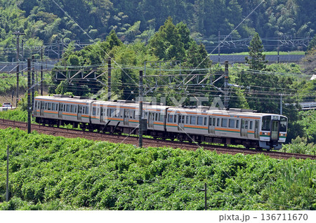 東海道本線　菊川－金谷　JR東海　211系　LL3編成（静岡） 136711670