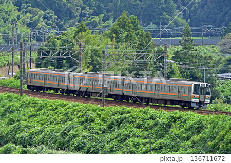 東海道本線 菊川-金谷 JR東海 211系 LL12編成(静岡) 東海道本線 菊川-金谷 JR東海 211系 LL12編成(静岡) 136711672