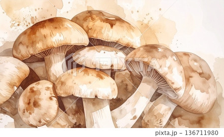 キノコのイラスト素材 136711980
