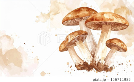 キノコのイラスト素材 136711983