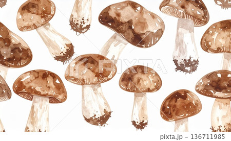 キノコのイラスト素材 136711985