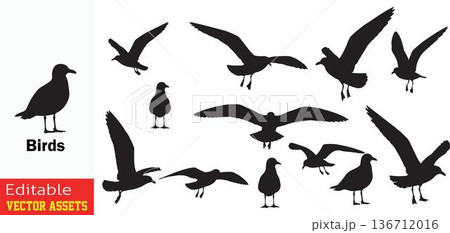 Collection of birds in flight and standing silhouettes isolated on transparent background 136712016