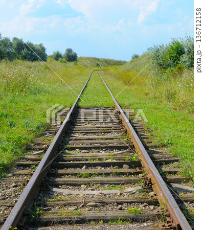 Old abandoned railway tracks disappearing into the distance among green fields 136712158