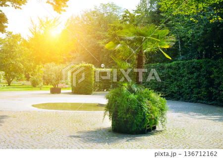 Peaceful public park with green hedges and sunlight at dawn Peaceful public park with green hedges and sunlight at dawn 136712162