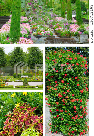 Stunning collage of vibrant flower gardens and vertical flower beds Stunning collage of vibrant flower gardens and vertical flower beds 136712165