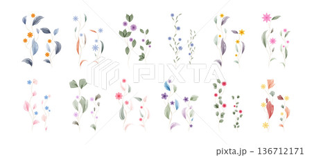 A beautiful assortment of watercolor painted leaves and tiny flowers. Delicate botanical elements in soft pastels like blue, pink, purple, and orange are arranged artistically on a white background. 136712171