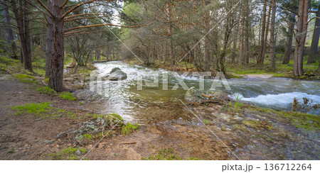 Sierra de Guadarrama National Park, Spain 136712264