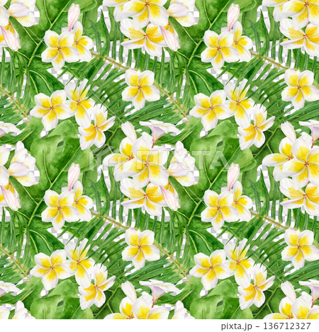 Seamless watercolor tropical pattern with white plumeria flowers with yellow centers, monstera and palm leaves. Botanical exotic repeat print for textile, wallpaper, packaging and summer fabric design 136712327