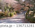 晴れた日の秋の公園 136713281