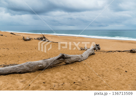 Waves crashing on the sandy beach in Labenne, Landes, France, on a cloudy day. 136713509