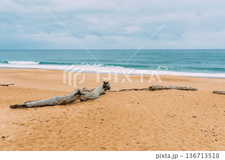Waves crashing on the sandy beach in Labenne, Landes, France, on a cloudy day. Waves crashing on the sandy beach in Labenne, Landes, France, on a cloudy day. 136713518