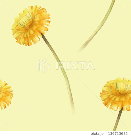 Watercolor seamless pattern with yellow dandelion flowers on a long stem on a light yellow background. A botanical floral template for wallpaper, packaging, textiles, and summer themes. Watercolor seamless pattern with yellow dandelion flowers on a long stem on a light yellow background. A botanical floral template for wallpaper, packaging, textiles, and summer themes. 136713683