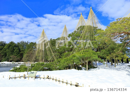 【石川県】白銀の兼六園（雪吊唐崎松） 136714334