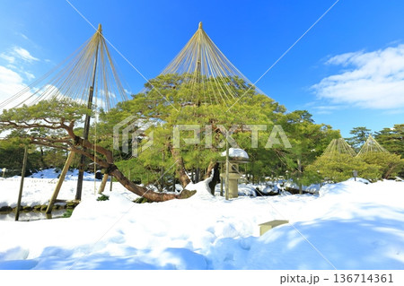 【石川県】白銀の兼六園（雪吊唐崎松） 136714361