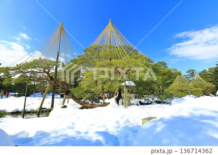 【石川県】白銀の兼六園（雪吊唐崎松） 136714362