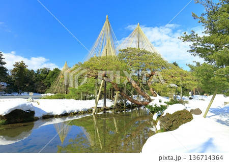 【石川県】白銀の兼六園（雪吊唐崎松） 136714364
