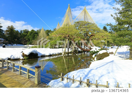【石川県】白銀の兼六園（雪吊唐崎松） 136714365