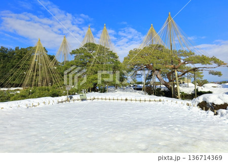 【石川県】白銀の兼六園（雪吊唐崎松） 136714369
