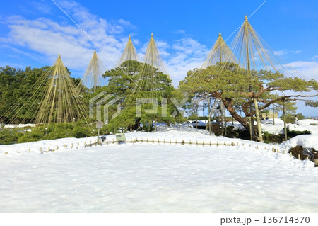 【石川県】白銀の兼六園（雪吊唐崎松） 136714370