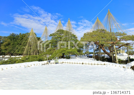 【石川県】白銀の兼六園（雪吊唐崎松） 136714371