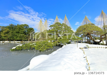 【石川県】白銀の兼六園（雪吊唐崎松） 136714373